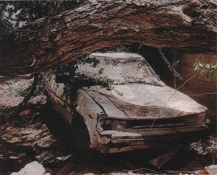 Scan07-06-13 1453