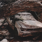 375_Scan0706131453