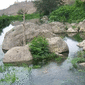 4167_salala7