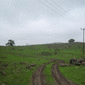 4168_salala9