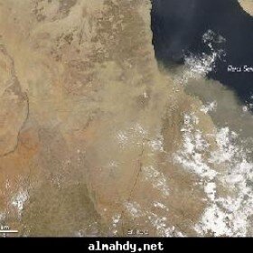 redsea_amo_2007158