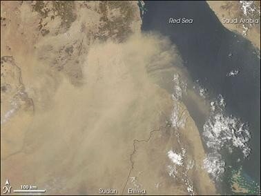 redsea_amo_2007164
