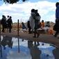 4453_GCAPChitungwiza