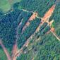 4655_landslide_2JPG
