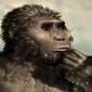 kenyanthropus