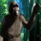 495_paranthropus