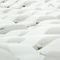 5196_iceJPG