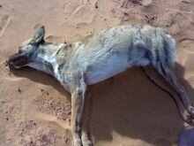2869
