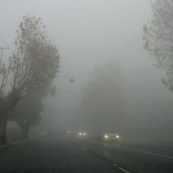 thick-fog22