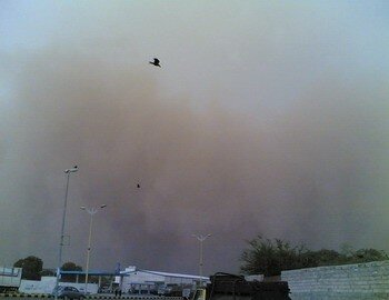 asfa_alhodaydah_5