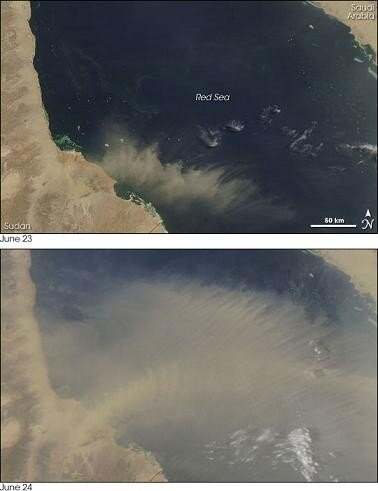 redsea_amo_2007175