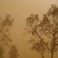 6409_dust_storm