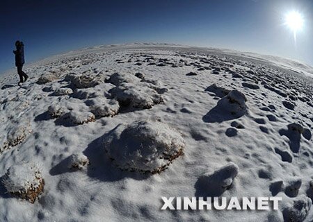 xin_552070629103728109561__w520.jpg