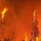 FIRE2