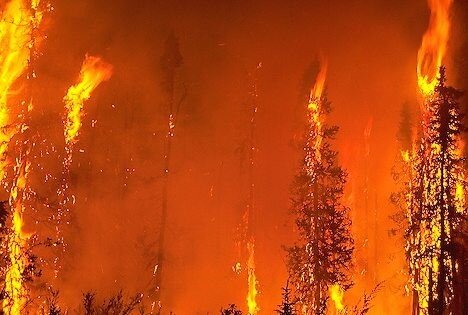 FIRE2