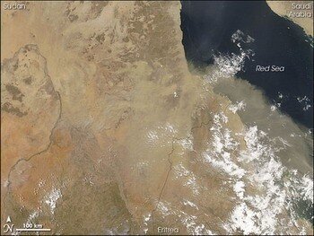 redsea_amo_2007158