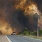 7384_portlincolnfires
