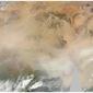 7679_africa_stormJPG