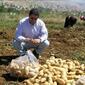 7687_22178837