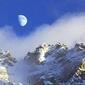 moonstruck-8517238