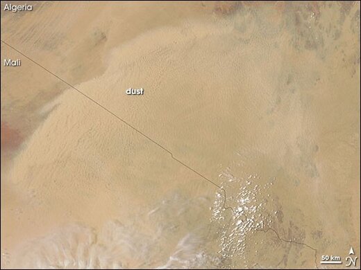 nafrica_amo_2007195