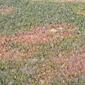 9292_213233perthhills