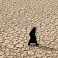 4483422-Dried-up-river-Esfahan-0