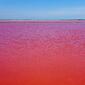 pinksaltlake01