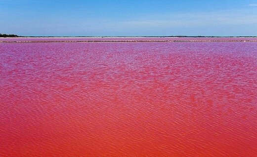 pinksaltlake01