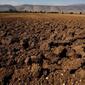 droughtdire
