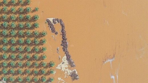 wadi2