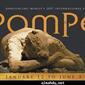 t86_Pompeii66661