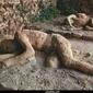 t73_pompei141