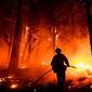 120597236_fire
