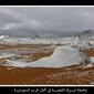 mrog_19