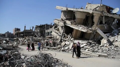 gaza773